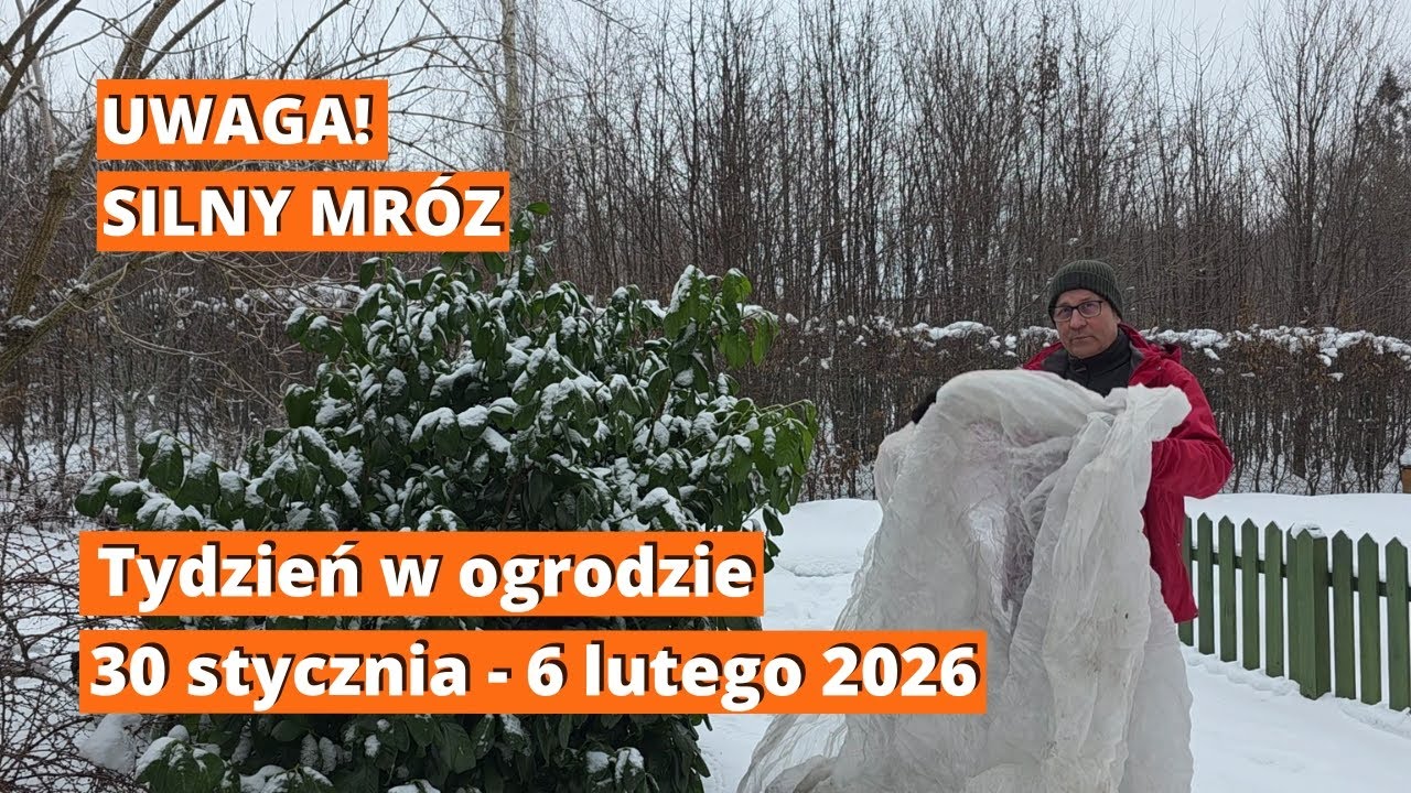 NADCHODZI MRÓZ -26°C! 🥶 Jak przygotować ogród i co siać w lutym? Pierwszy tydzień lutego w ogrodzie.