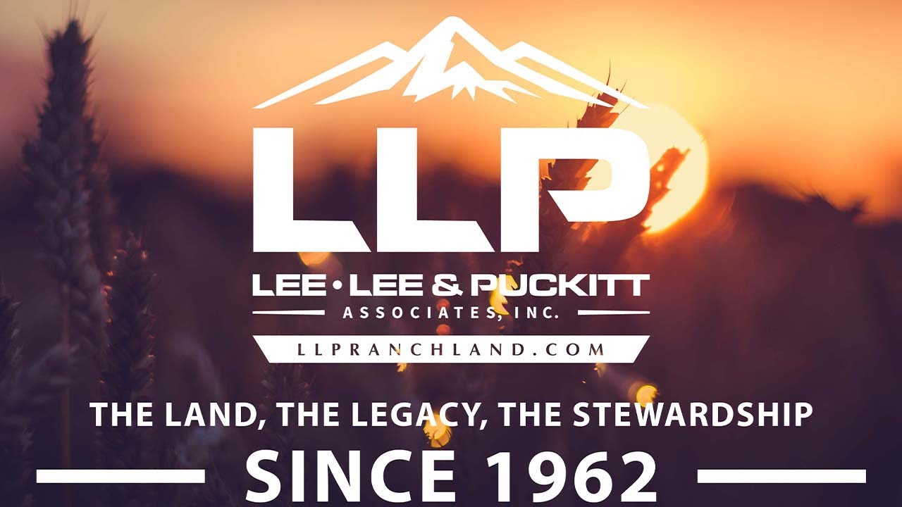 Lee, Lee & Puckitt - The Land, The Legacy, The Stewardship