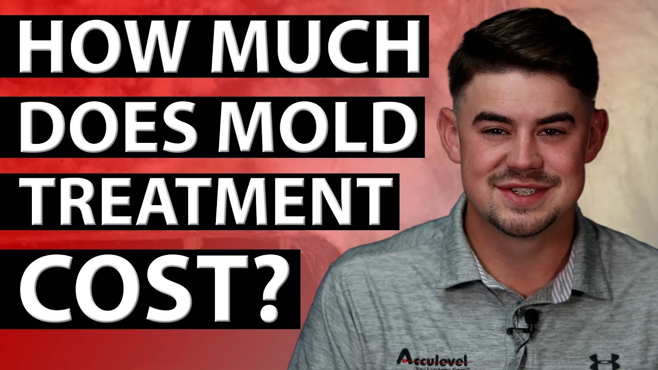 Mold Treatment: How Much Does it Cost?