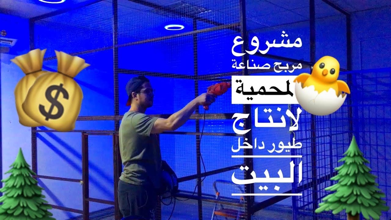 مشروع مربح : صناعة اكبر محمية / حظيرة لانتاج طيور البادجي : زبرا