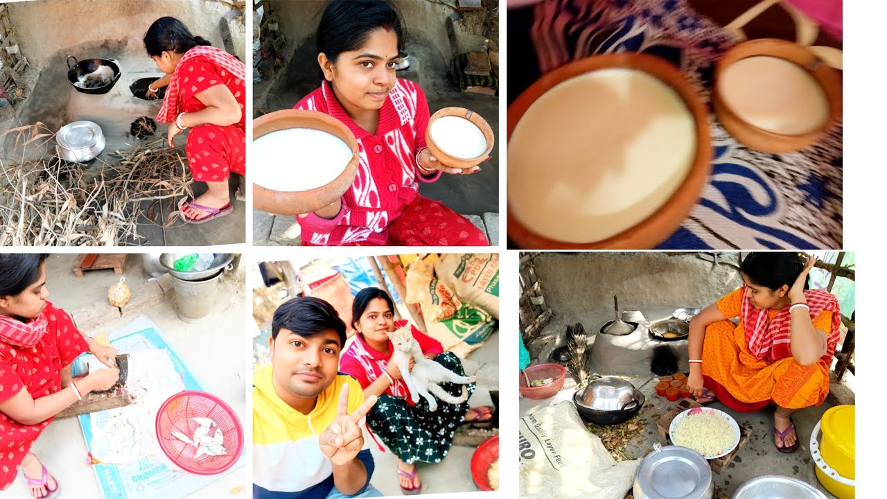 ভাবতেই পারিনি এতো সুন্দর 🍚 দই হবে 🤷