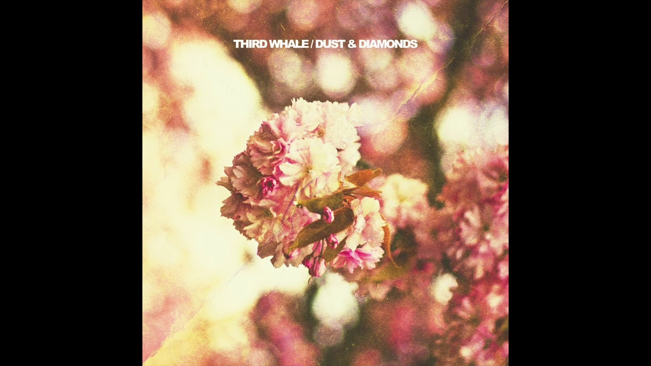 Third Whale - Dust & Diamonds