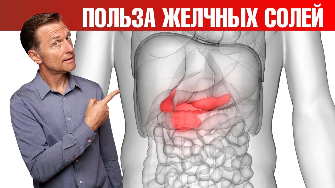 9 плюсов приема очищенных желчных солей✅