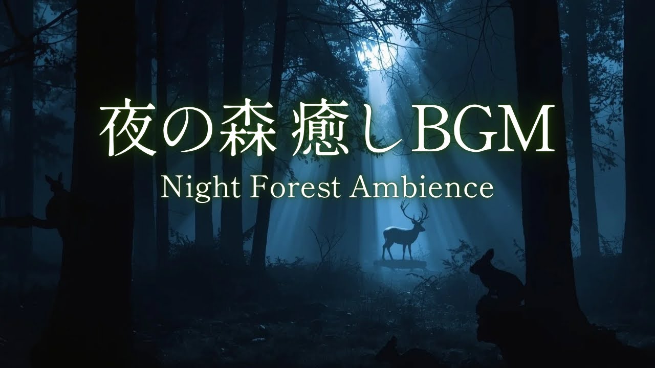 【癒し BGM】夜の森の静寂でリラックス・集中｜ Night Forest Ambience