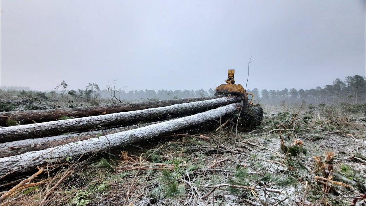 Dirty South logging- Tigercat playing in the snow ❄ ❄ ❄