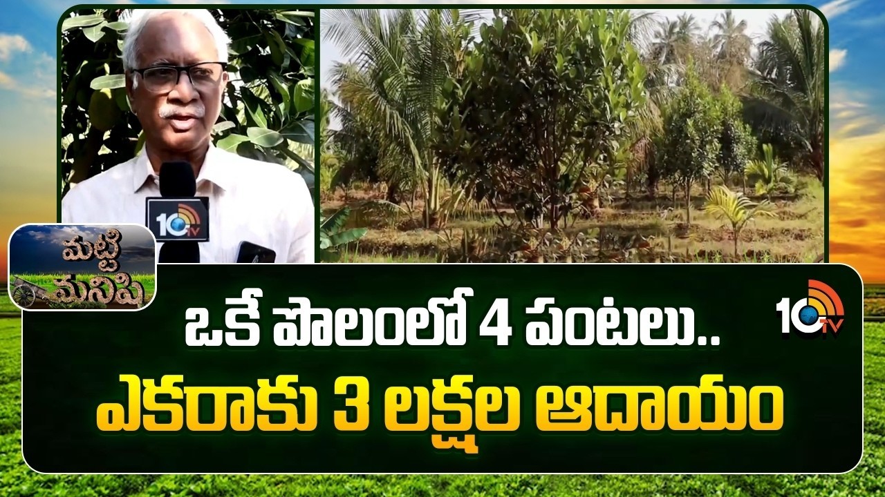 Multi Cropping In One Field | Farmer Success Story | ఒకే పొలంలో 4 పంటలు.. ఎకరాకు 3 లక్షల ఆదాయం| 10TV