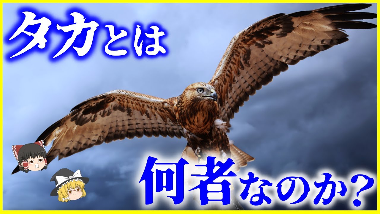 【ゆっくり解説】紀元前2000年から&hellip;⁉「タカ」とは何者なのか？を解説/人間と鷹の切っても切れない関係