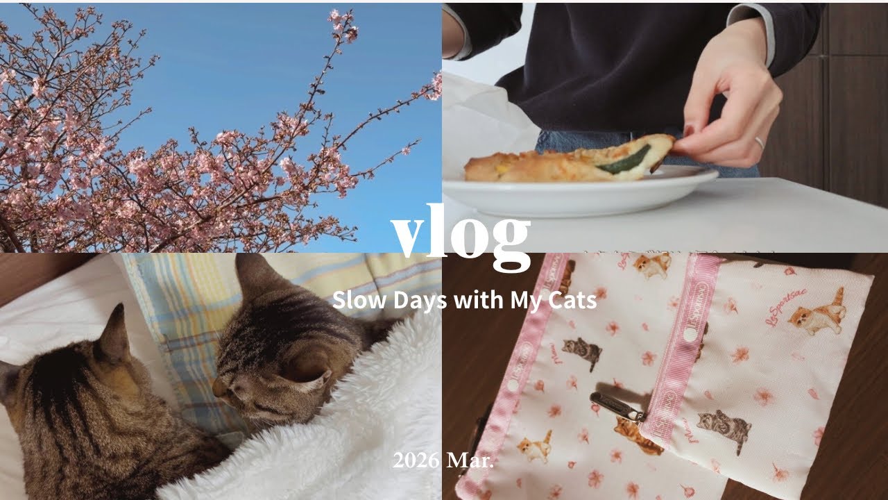 【Vlog】	社会人OLの休日🌸  KALDI購入品|ete|lesportsac|雑誌付録|ポーチ|猫の日|猫ちゃんとの日常🐈