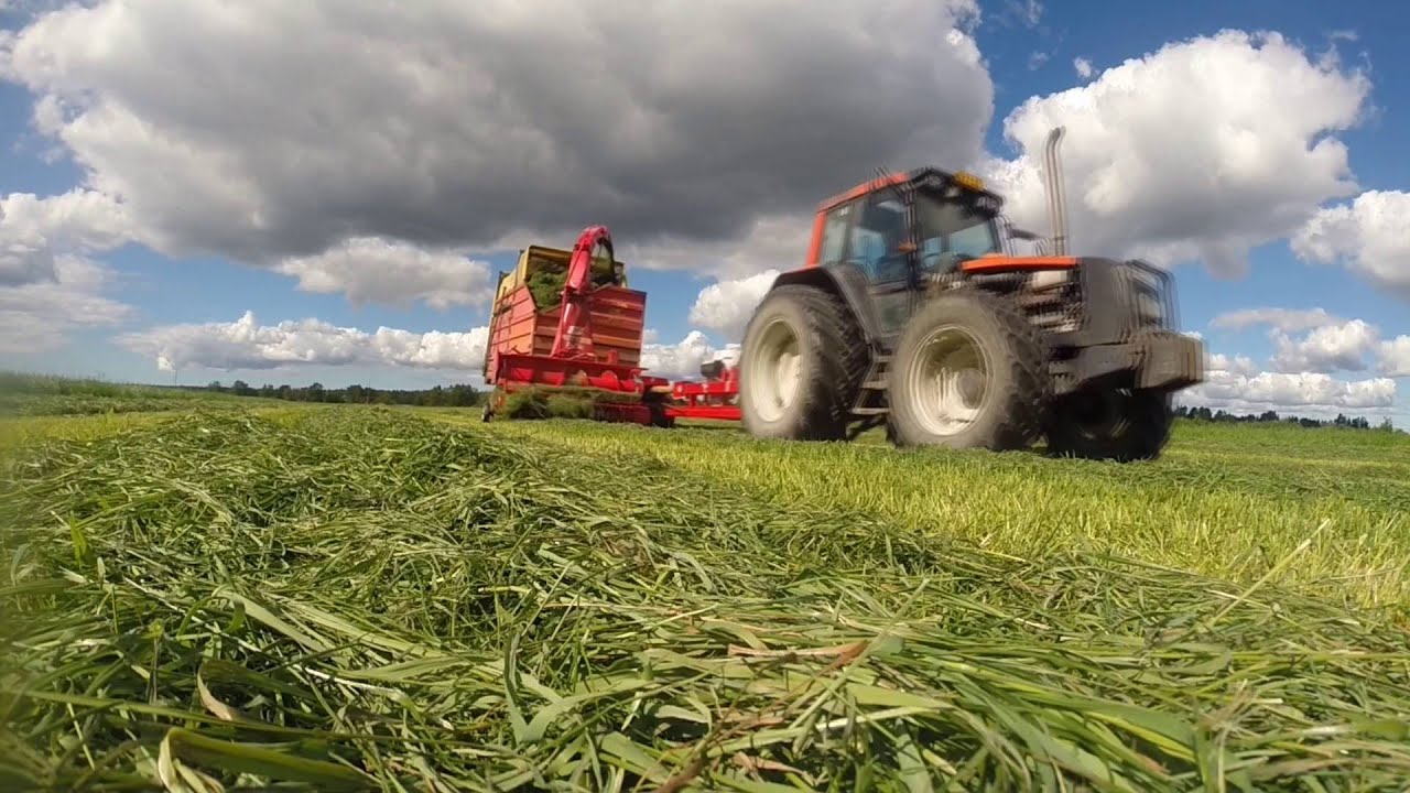 Silage 2015