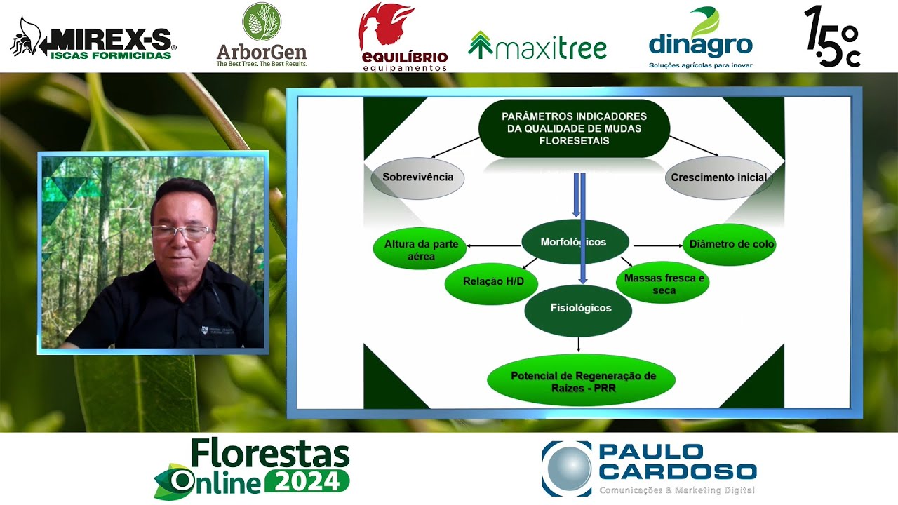 Controle de qualidade de mudas florestais - Florestas Online 2024