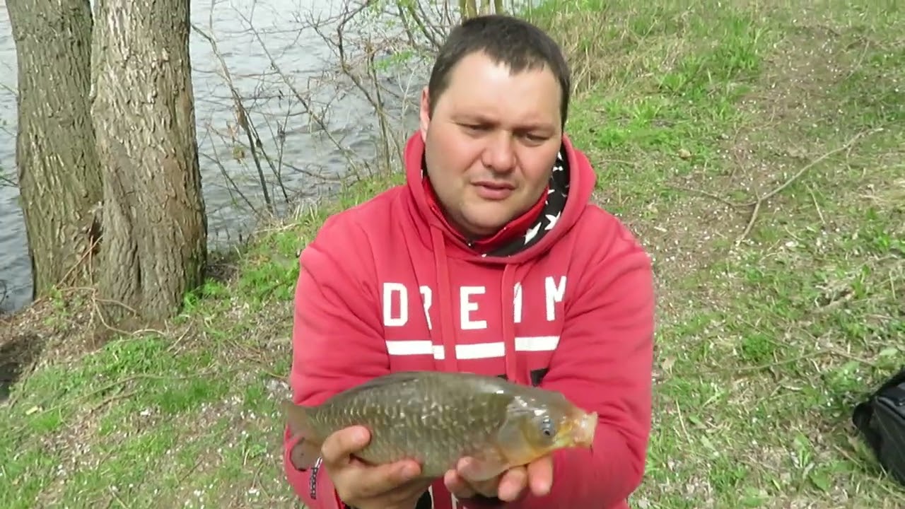 Рибалка весною на флет. Flat Feeder Fishing. Hot Demon. Nash Citrus.
