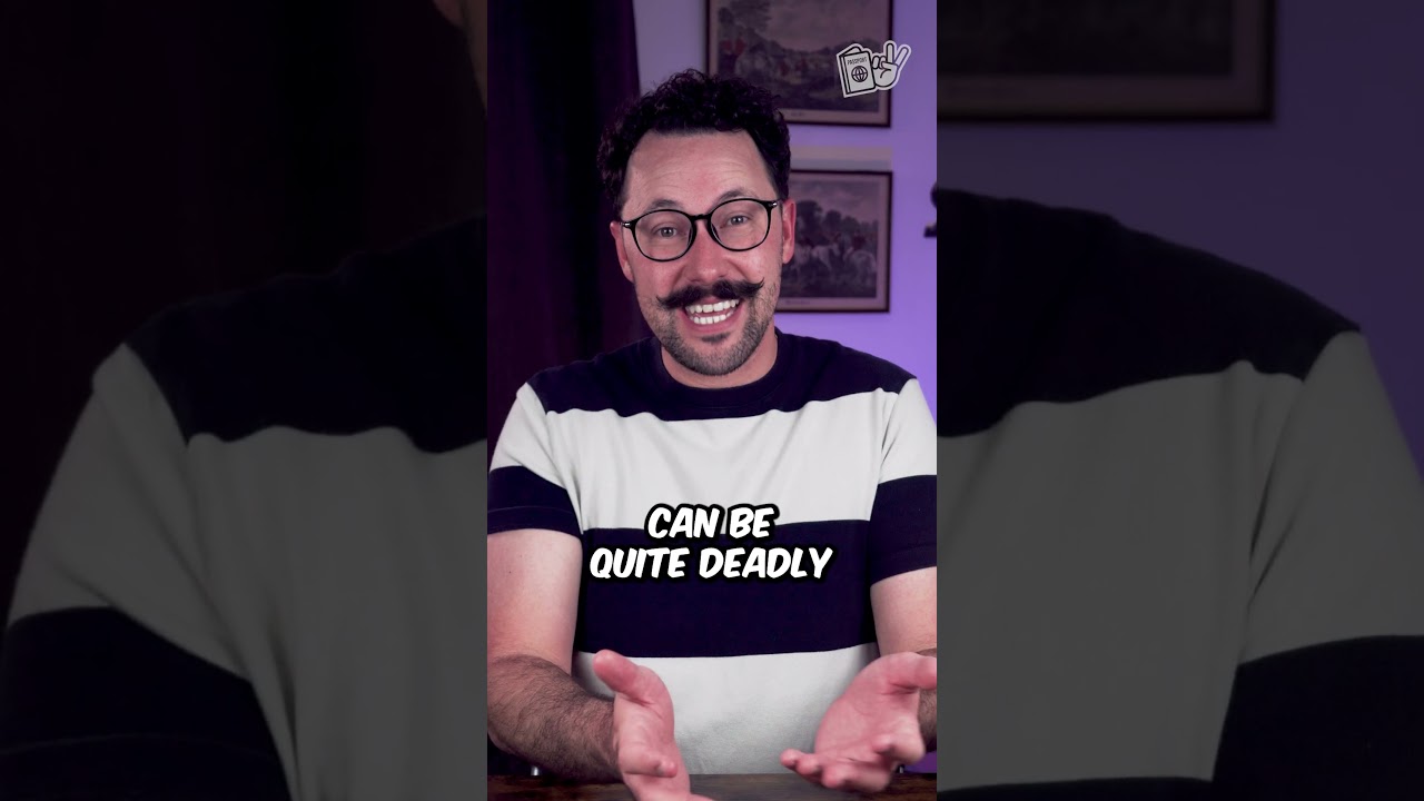 Dangers of German Windows | 👆FULL VIDEO👆