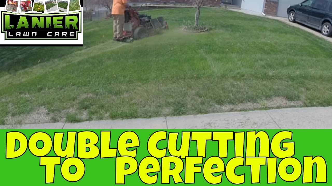 Lawn Care 2018, Stripelicity, A guide to Life