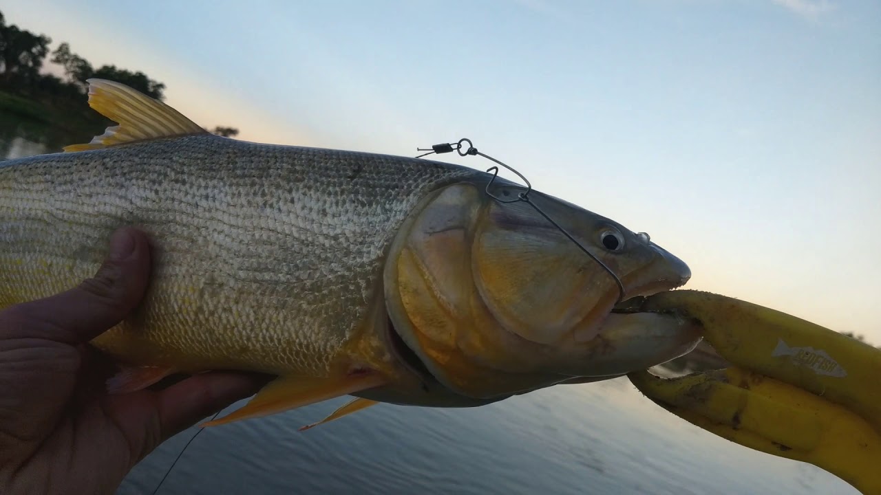 Pesca, tormenta y amigos en Monte Vera!