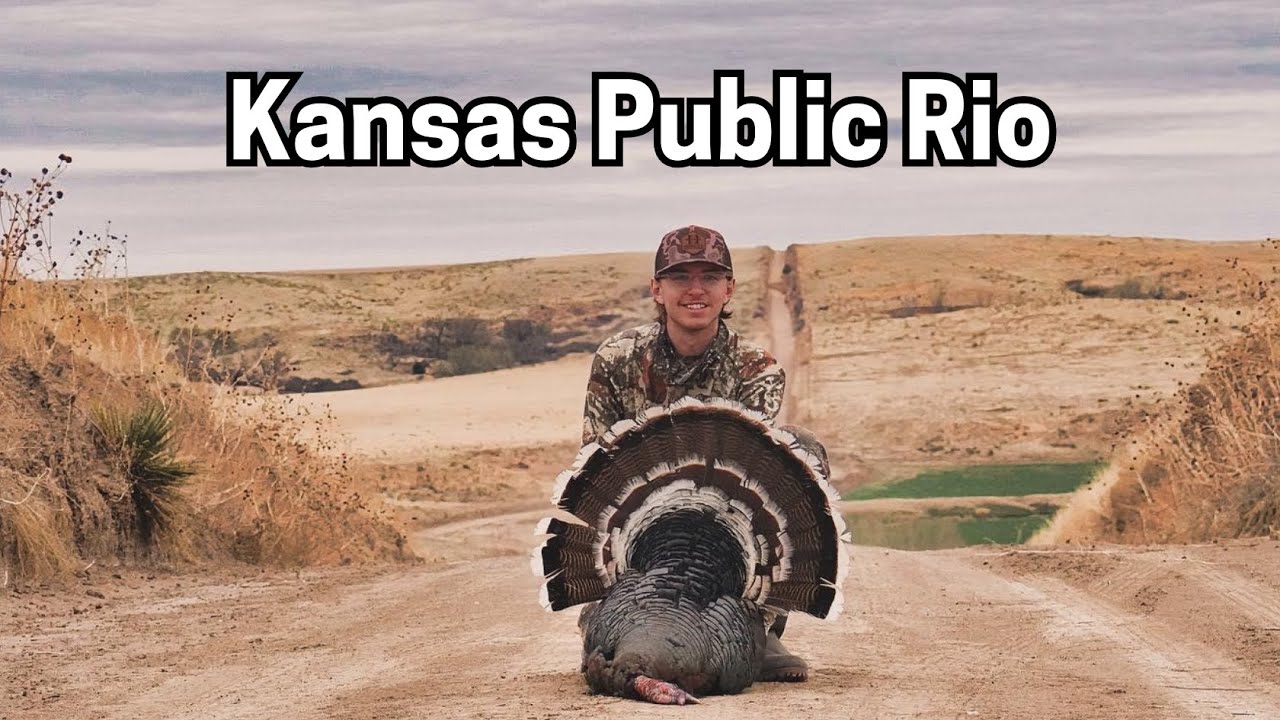 Public Land Kansas Turkey Hunt