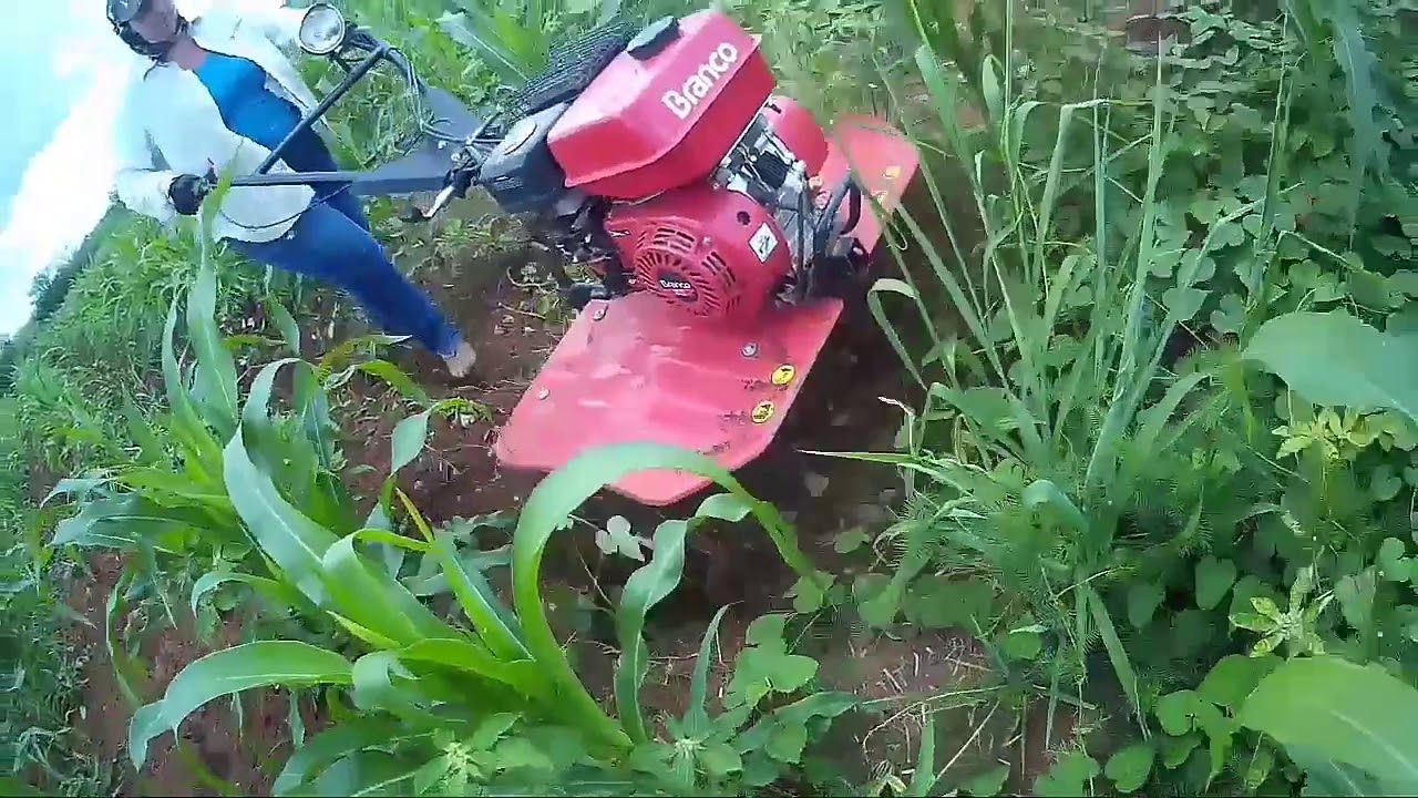 TRATORITO NÃO TEM SEGREDO, EM SERVIÇOS MAIS LEVES MINHA ESPOSA USA TRANQUILA