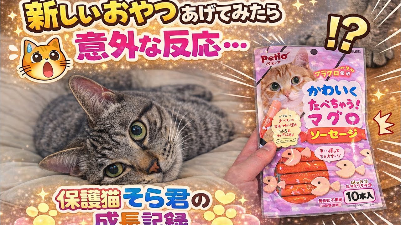 新しいおやつあげてみたら意外な反応…