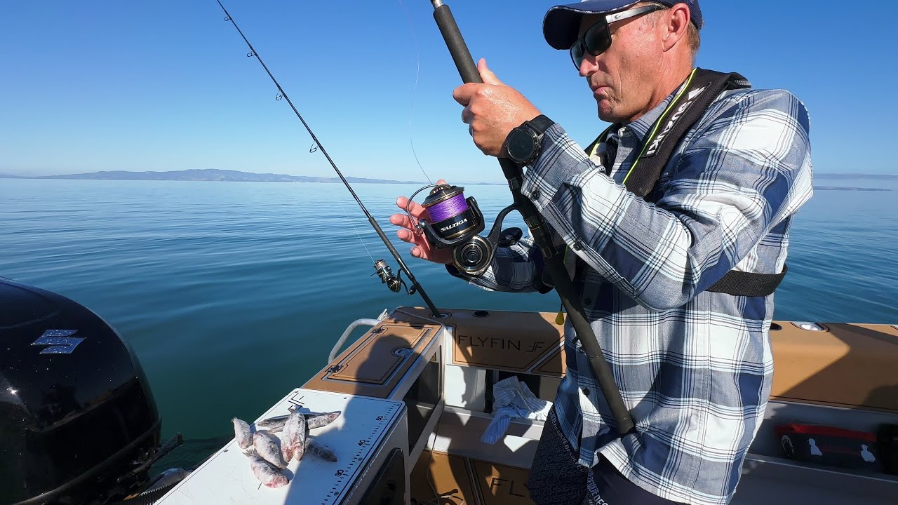 Huge Live Bait Eaten by A FISH OF A LIFETIME