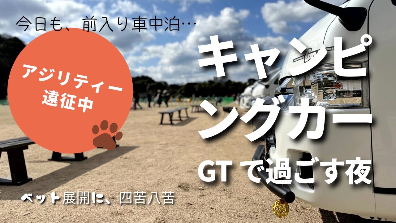 アジリティー遠征は、いつも  前入り車中泊！