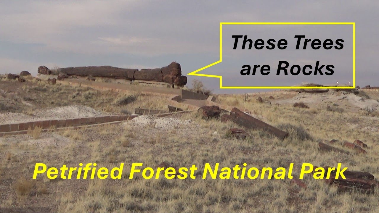 Petrified Forest National Park. Holbrook, Arizona