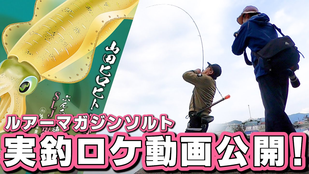 【エギング】春イカが苦手な人必見！大型アオリイカに効果的な釣り方と浅場で強風時でのテクニック
