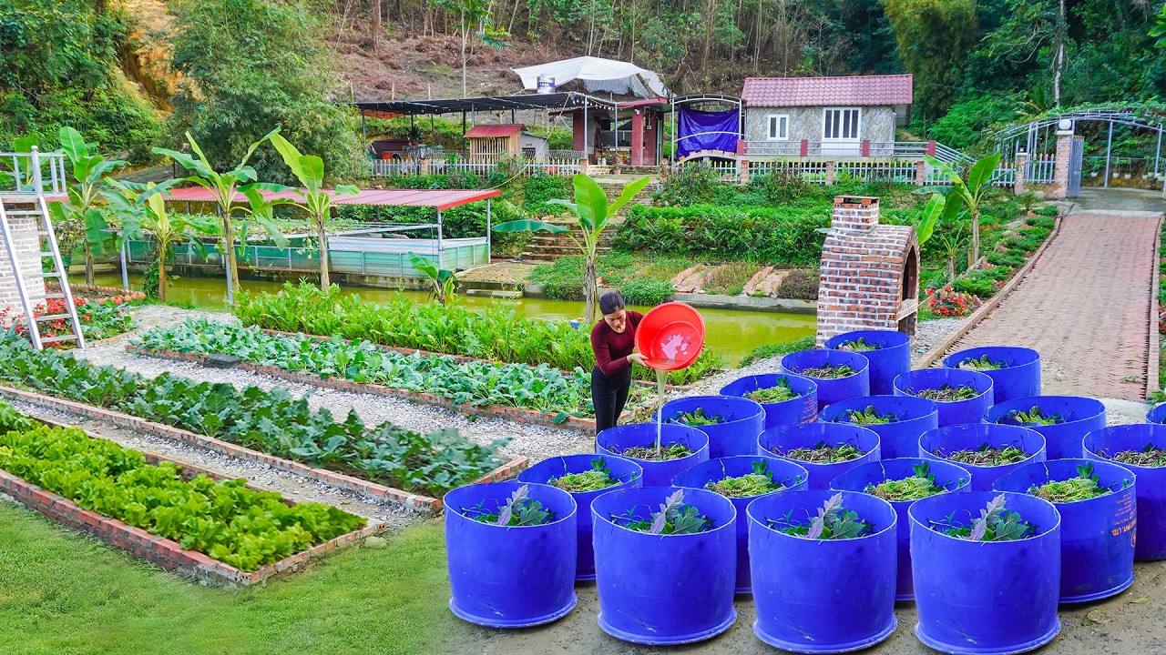 Turn Rotten Vegetables into Organic Fertilizer & Grow More Fresh Greens at Home