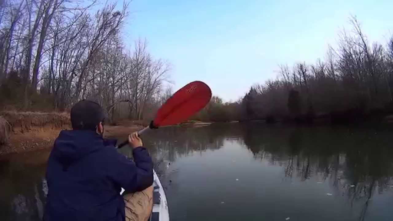 Buzzbait Action!