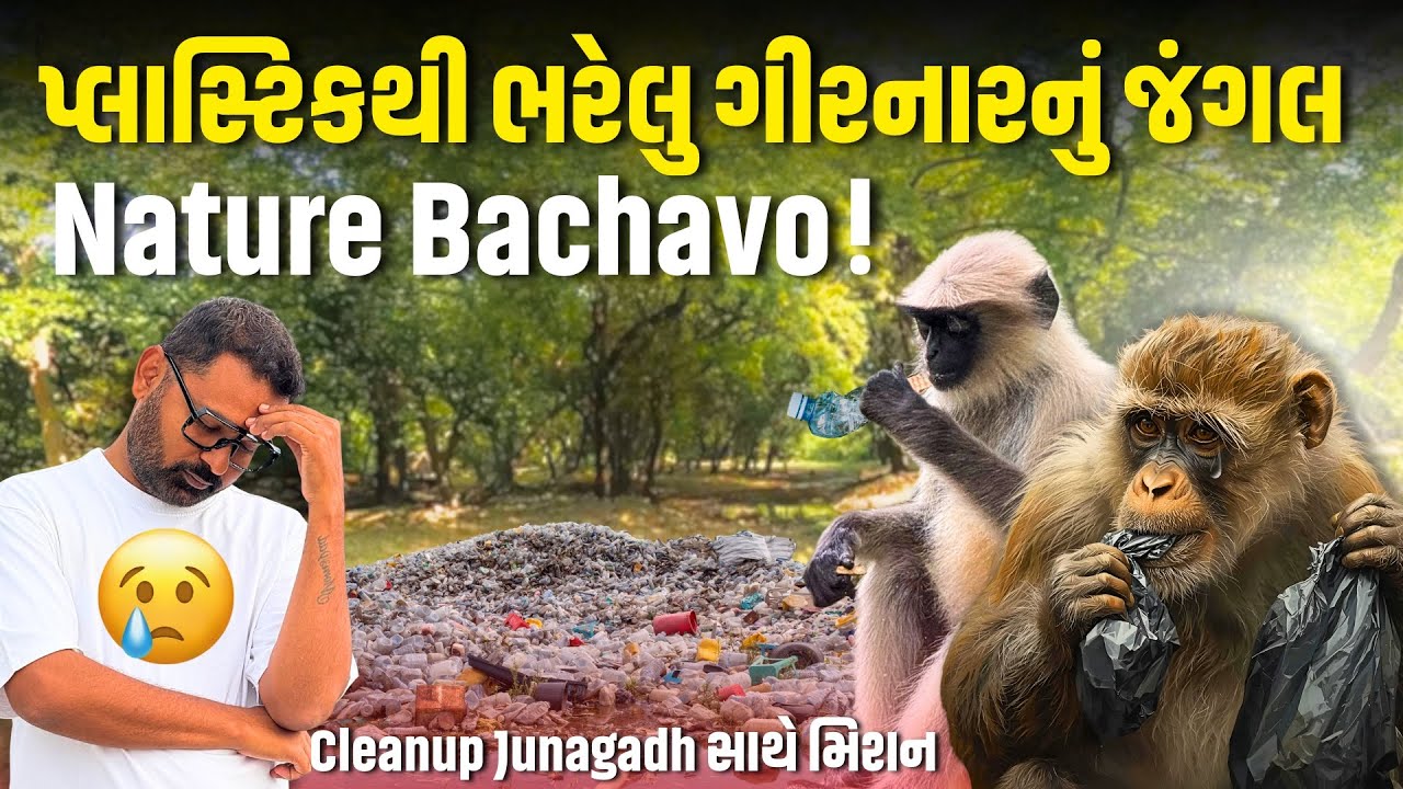 પ્લાસ્ટિકથી ભરેલુ ગીરનારનું જંગલ | Girnar Parvat | Cleanup Junagadh | Milan Danidhariya