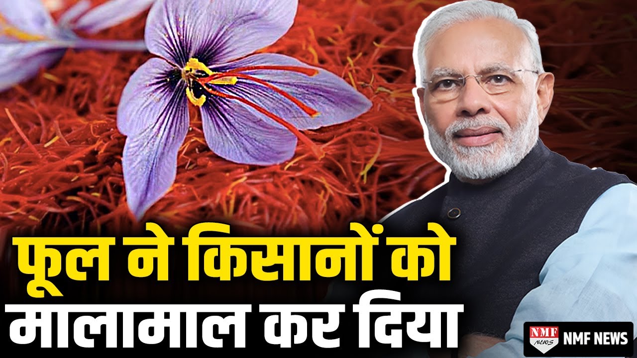 मोदी ने किया ऐसा काम, Kashmir के किसानों की हो गई बंपर कमाई