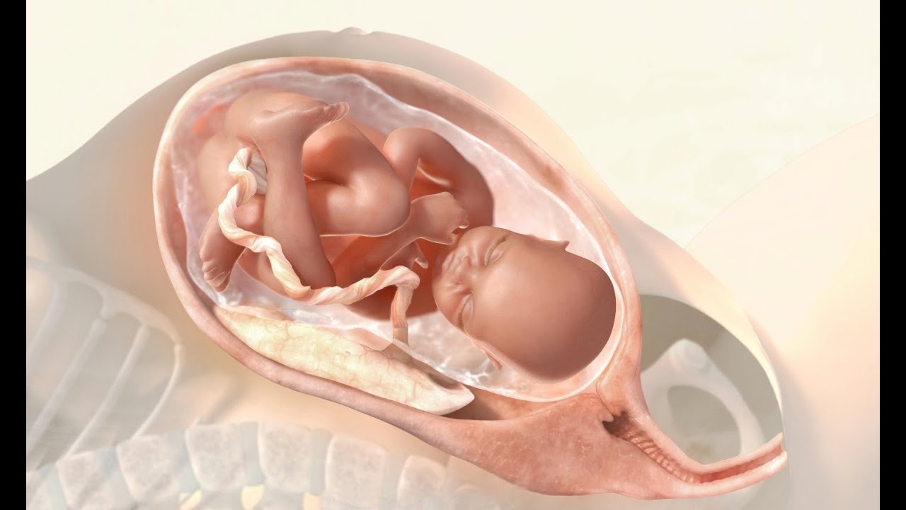 The 3 Stages of Labor