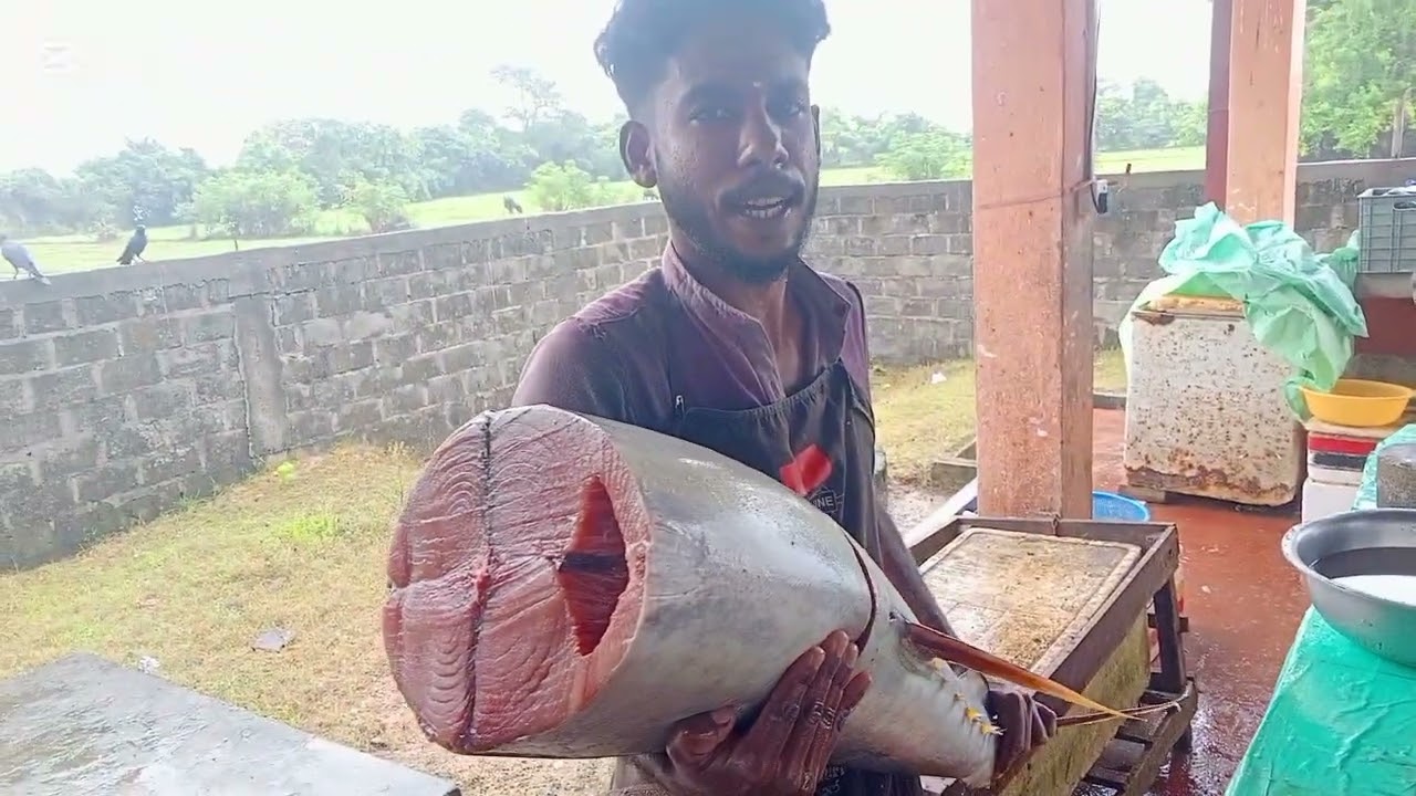 களுவாஞ்சிகுடி  மீன்சந்தை 