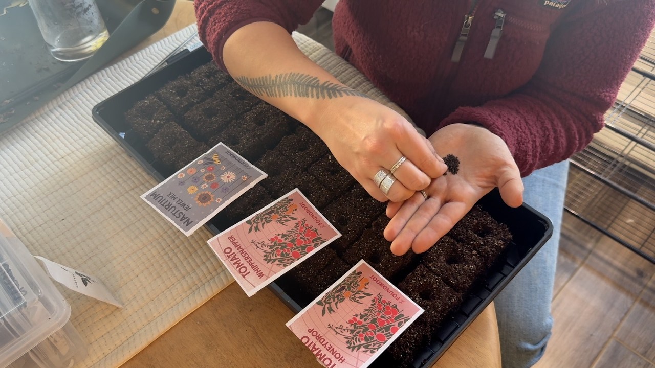 Seed Block Starting in February