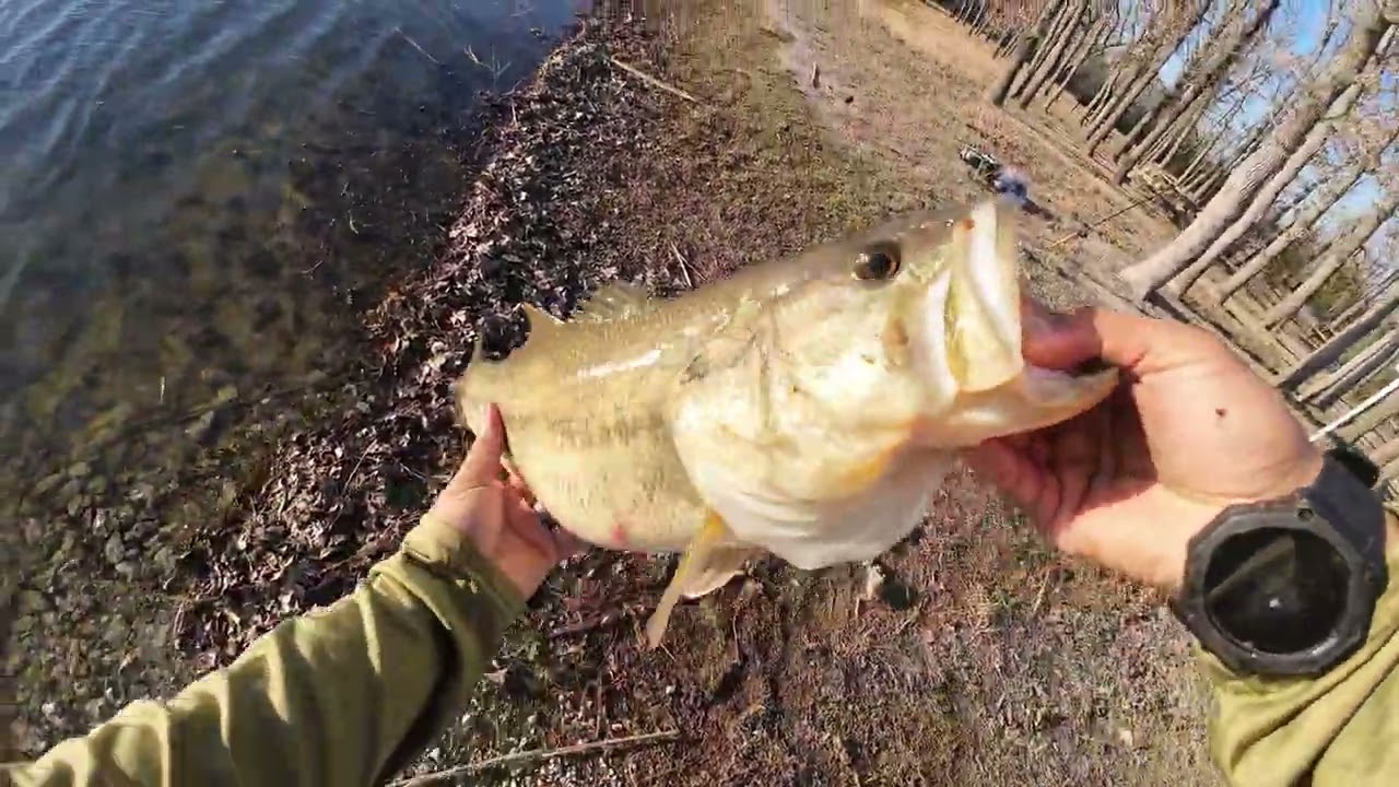 6 Pounder!! on New Secret Lake!!!