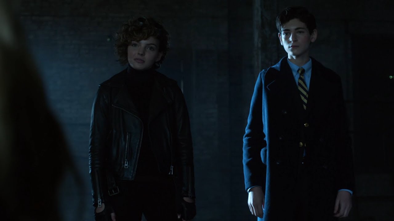 Bruce Wayne & Selina Trick Silver (Gotham TV Series)