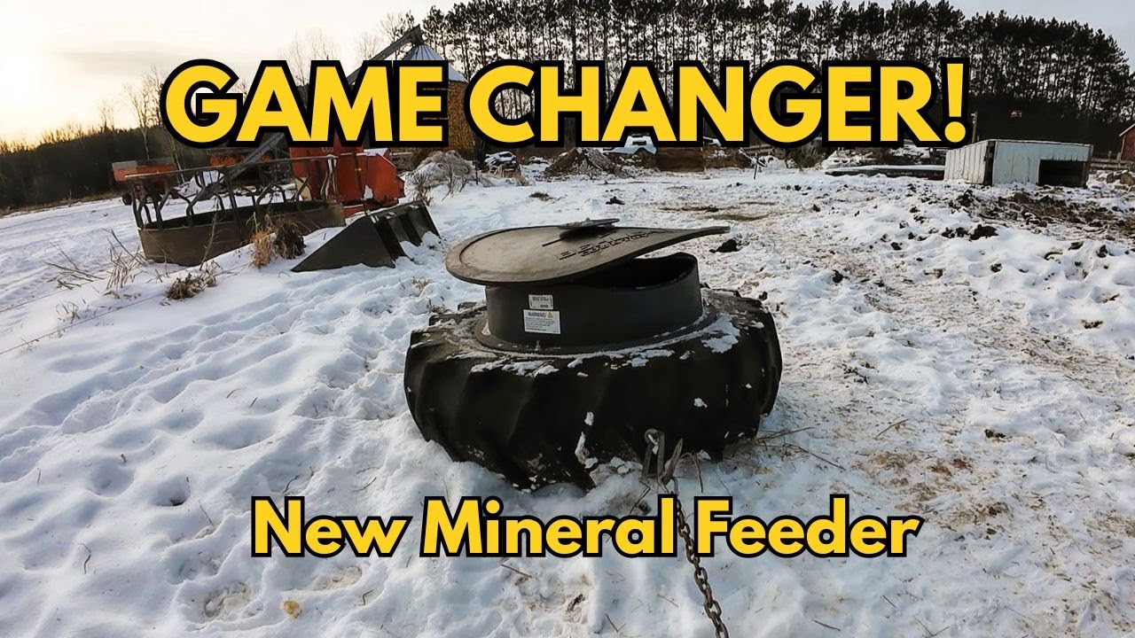 Game Changer! Stepping up with a NEW mineral feeder. 
