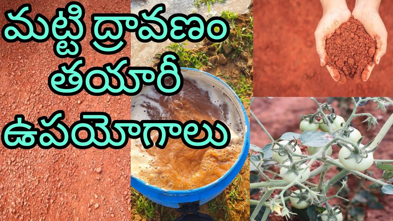 మట్టి ద్రావణం తయారీ, ఉపయోగాలు/Villagelife natural/agriculture