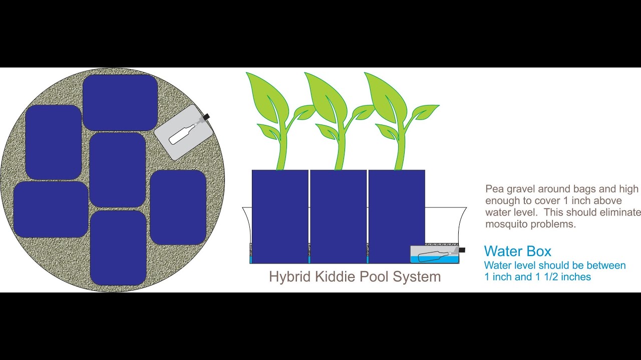 The  New Amazing  Self Watering Hybrid Kiddie Pool Grow System! Simply Incredible!