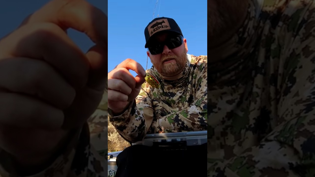 Best Trout Lure Ever!!!   THOMAS BUOYANT