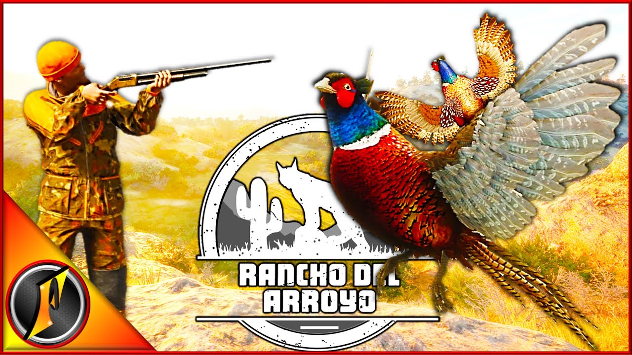 Finding the Best Pheasant Hunting Shotgun | Plus a Diamond Pheasant!