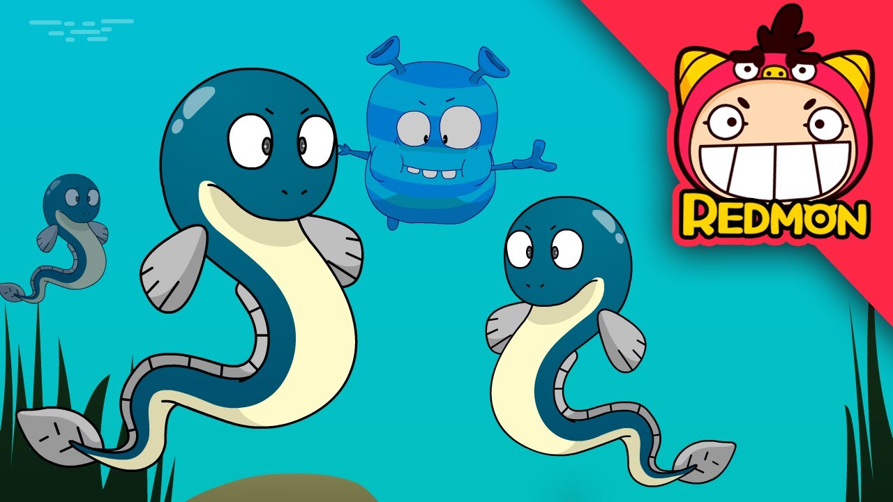 Light up the night in the desert (Electric eel) | Animal rescue corps #05 | REDMON
