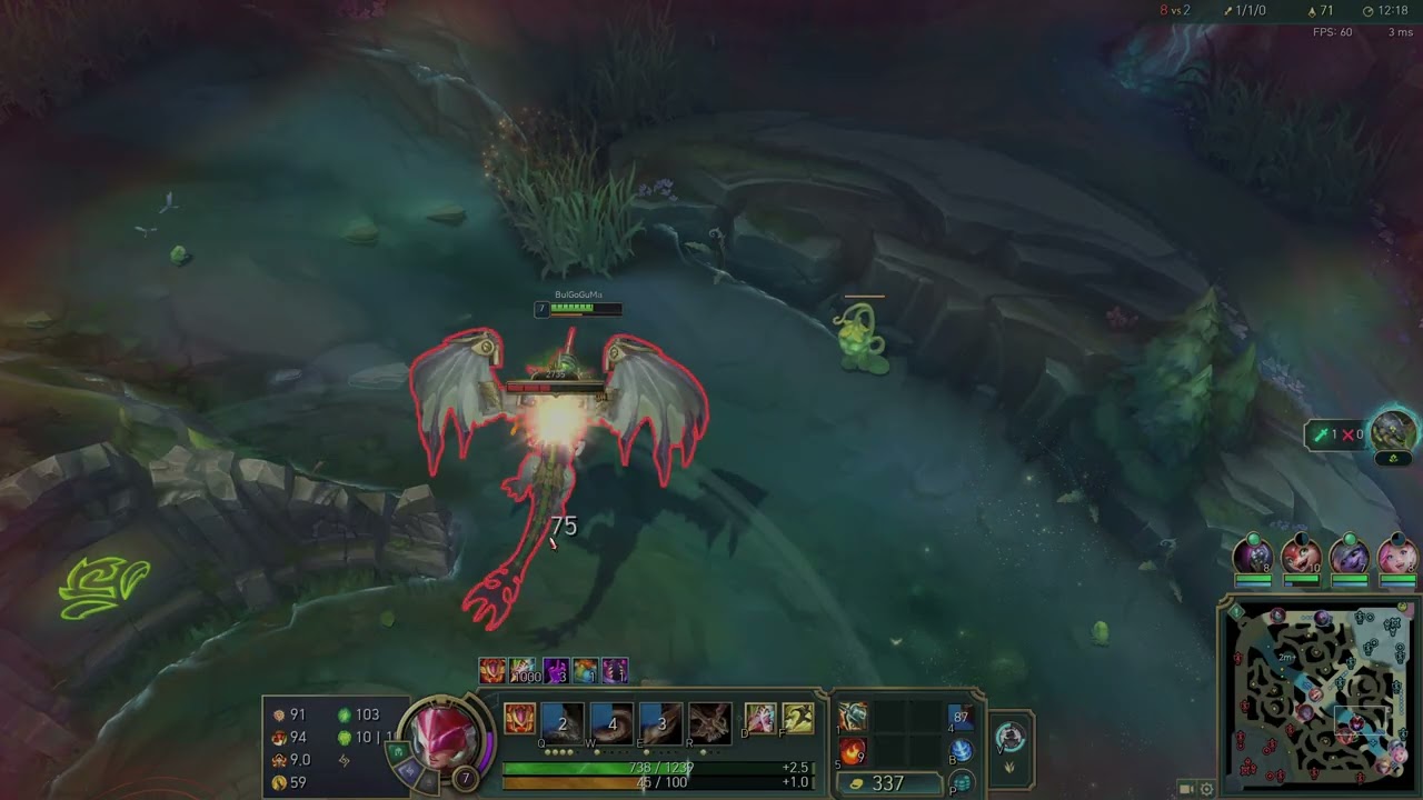 정글로 살아남기 어디든 교전은 치열하다 쉬비나 정글