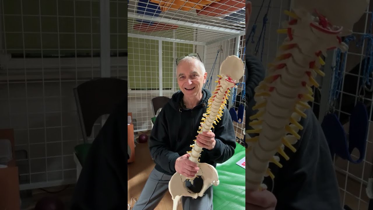 3 ćwiczenia na osteoporozę cz. 2 - Janusz Danielczyk - Fizjoterapeuta z pasją nadaje na żywo