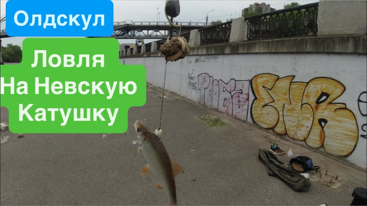 Ловля Рыбы на Макушатник🔥Невская Катушка🔥Ловля на Невку🔥Карп на Макуху🔥Крутая Рыбалка🔥
