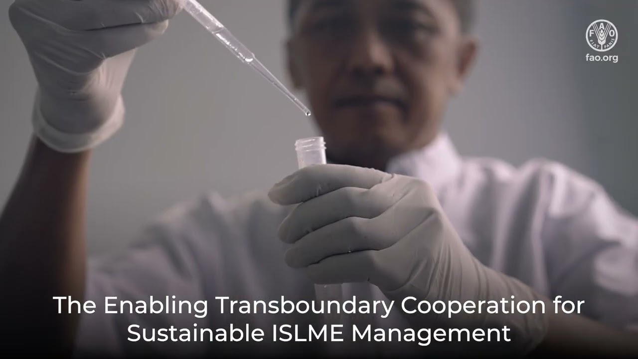 Partnering for Resilience and Sustainability of the Indonesian Seas