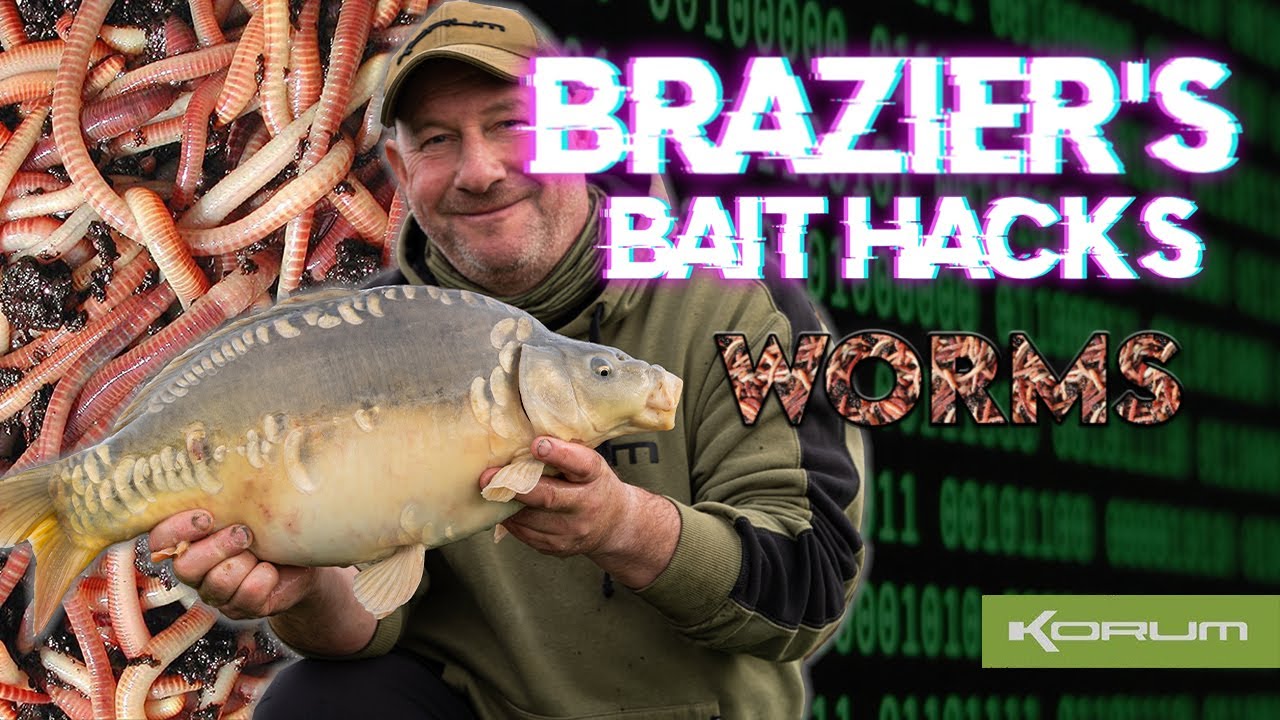 Bait Hacks - Worms