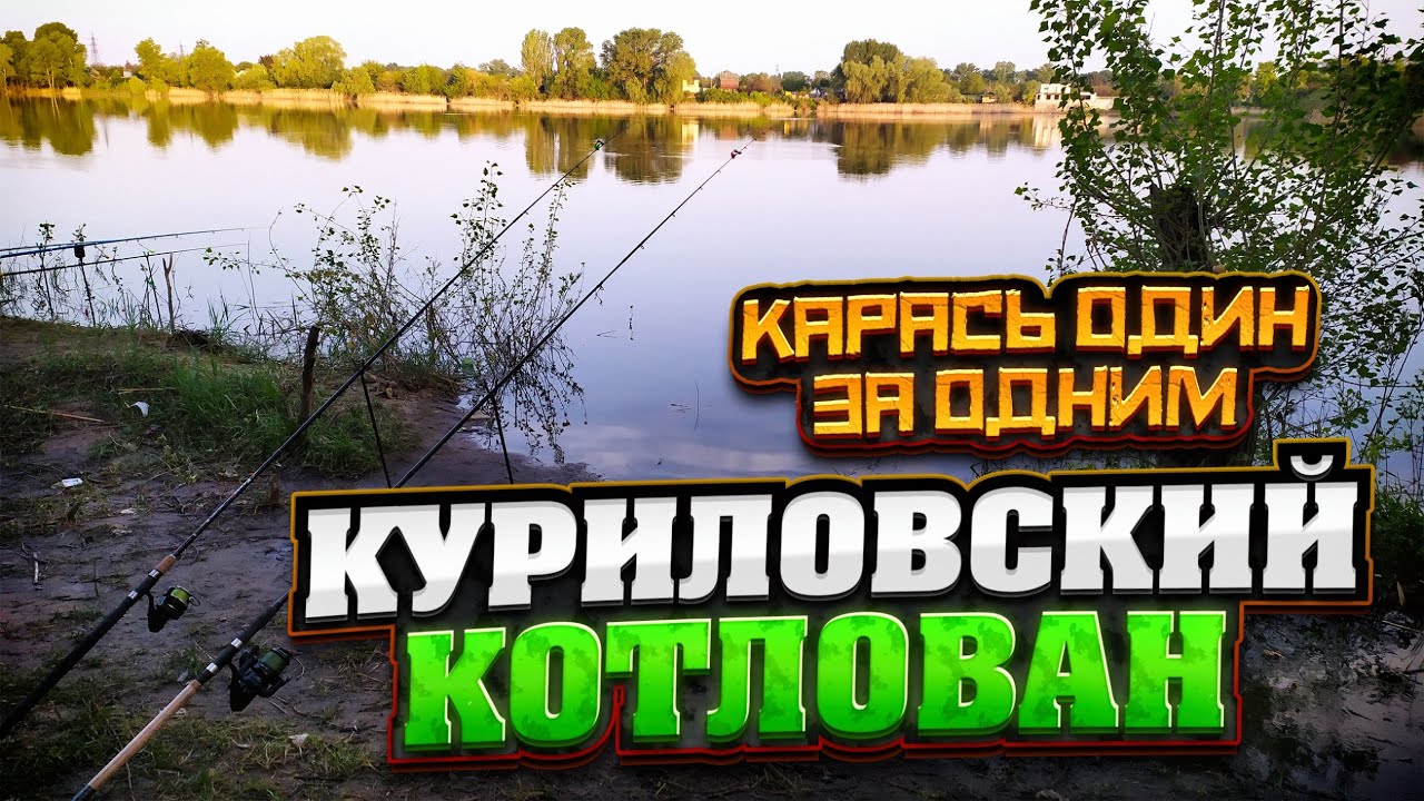 КАРАСЬ ОДИН за ОДНИМ - КУРИЛОВСКИЙ КОТЛОВАН