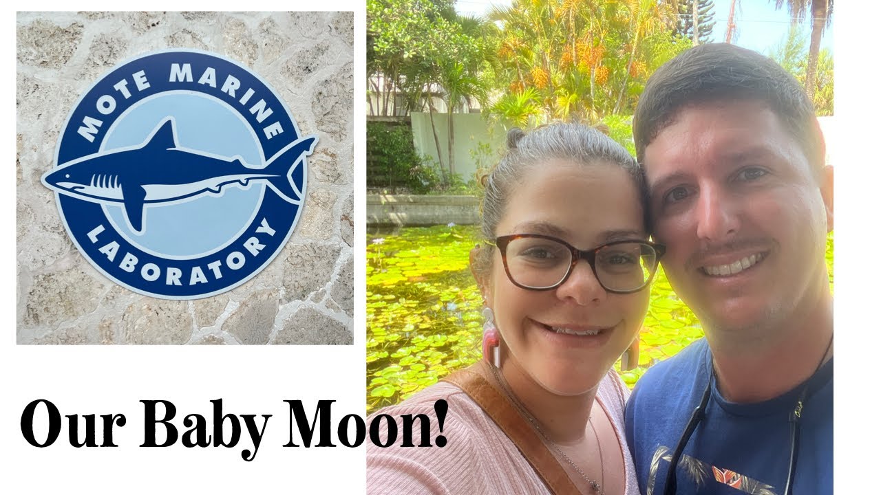 Baby Moon: Mote Aquarium | Sarasota, Fl.
