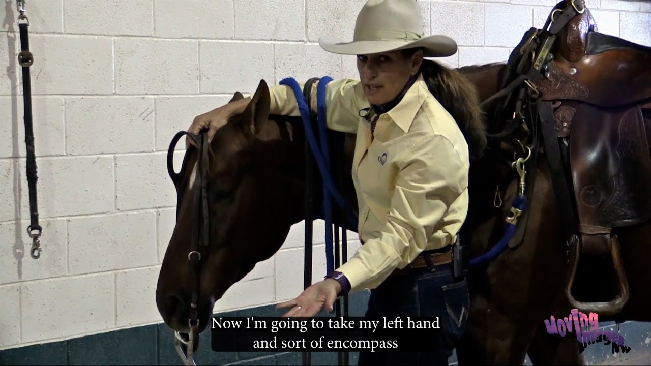 Safely and Correctly Bridling the Western Horse with Julie Goodnight