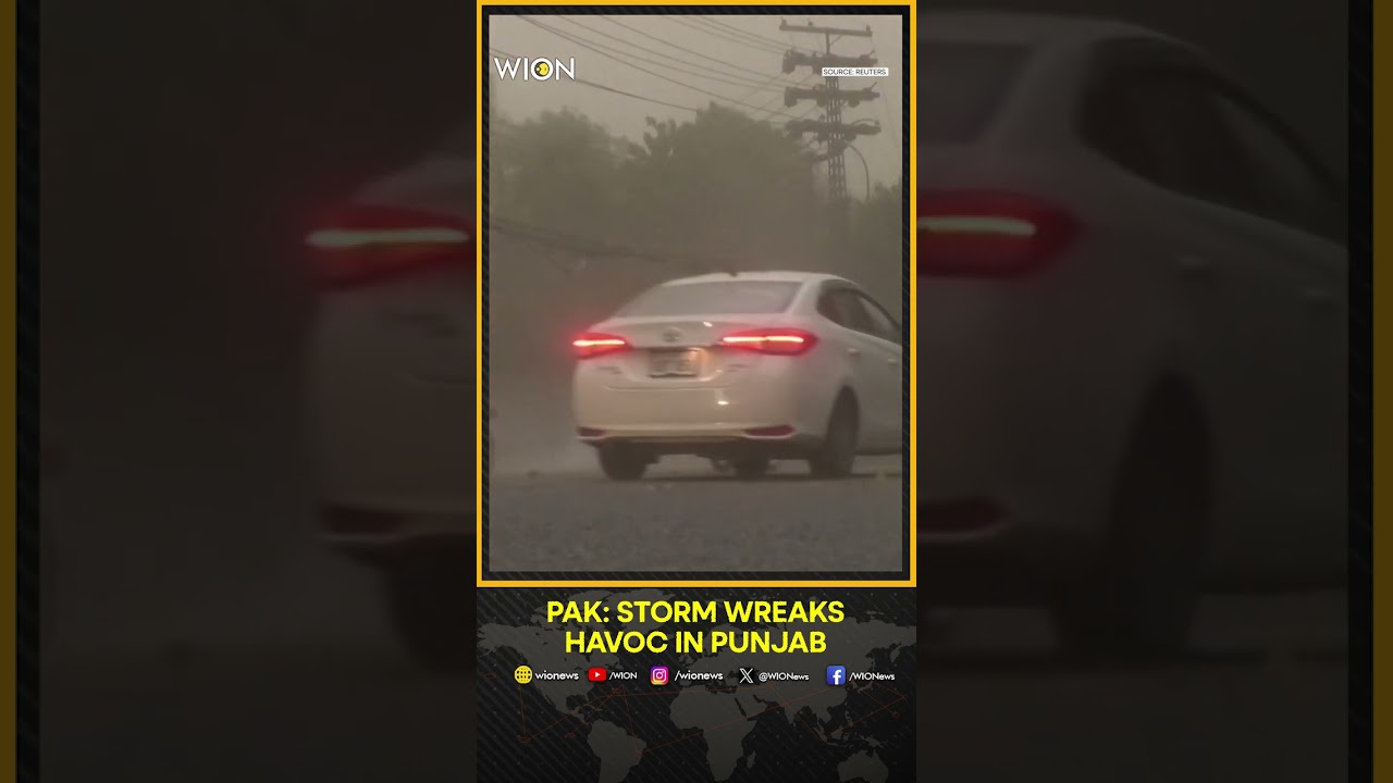 Pakistan: 14 Killed, Dozens Injured As Dust Storm Wreaks Havoc In Punjab | WION Shorts
