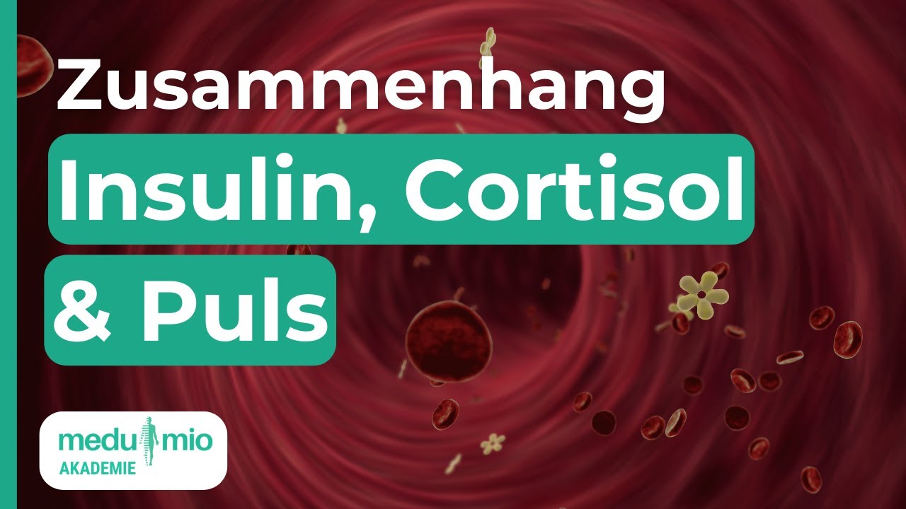 Stress: So hängen Cortisol, Insulin und Dein Herzschlag zusammen 📊 Dr. Popat